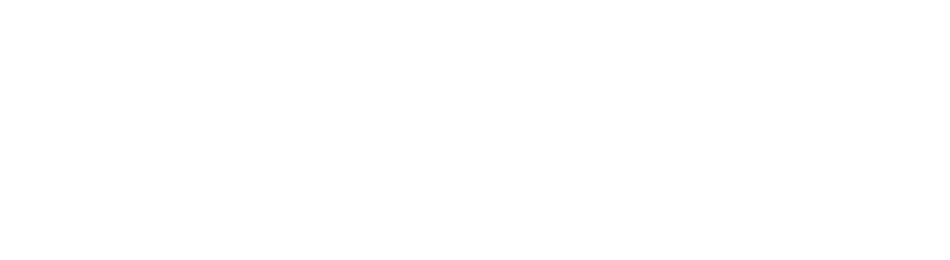 Dhynet logo